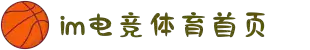 IM(股份有限公司)电竞-电子竞技平台